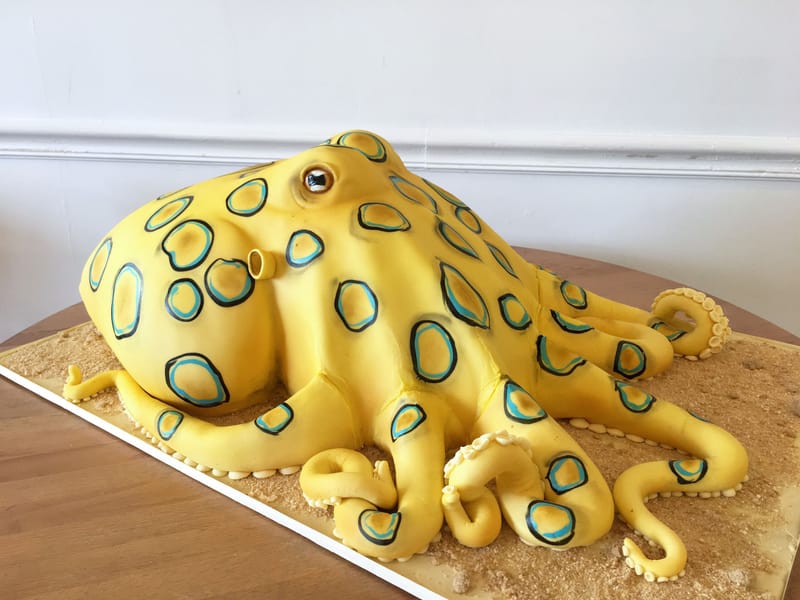 Sculpted cake of a blue ringed octopus