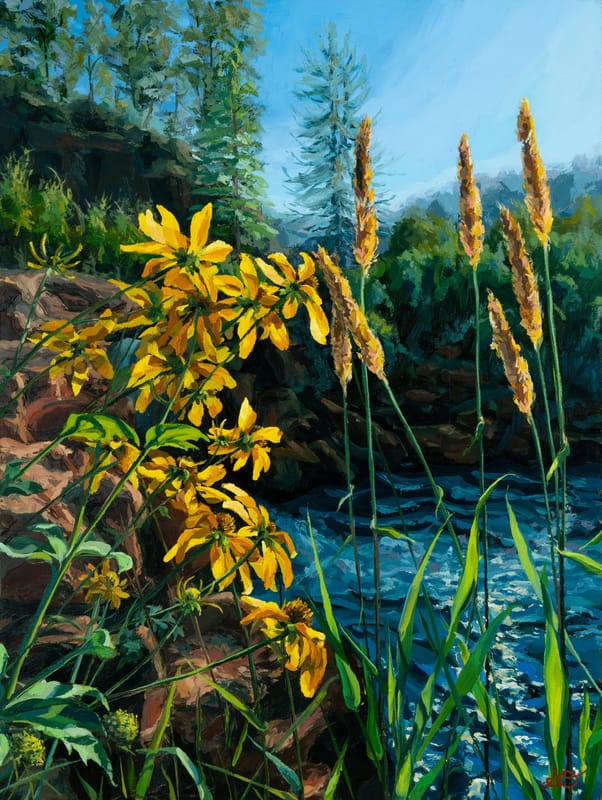 Cutleaf Coneflowers by The Cabin Culvert