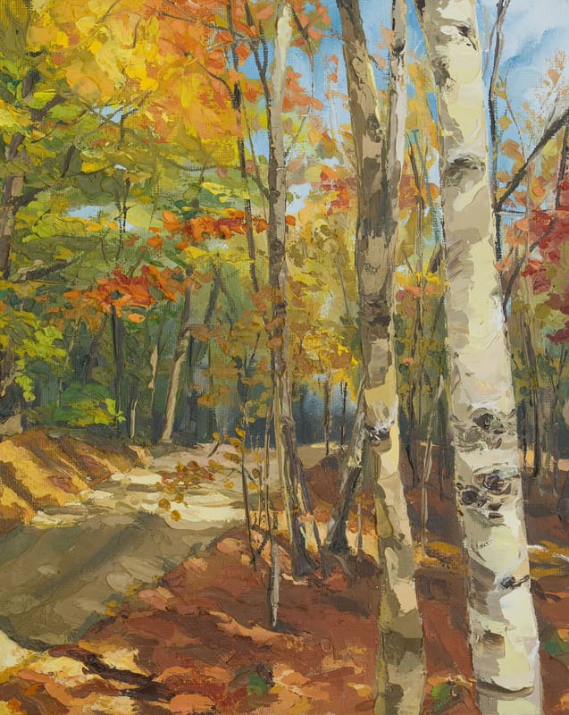 Fall Hike Near Harts Location, NH