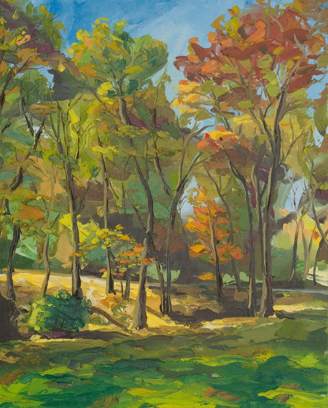 Autumn Trees Out West Window