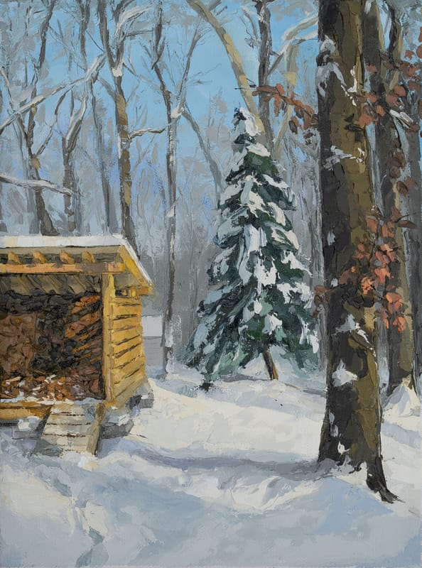 Tyler's Woodshed in Late Afternoon Sun