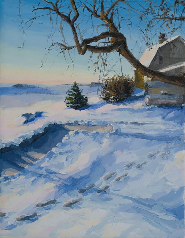 Sunrise on Mom & Dad's snowy sidewalk