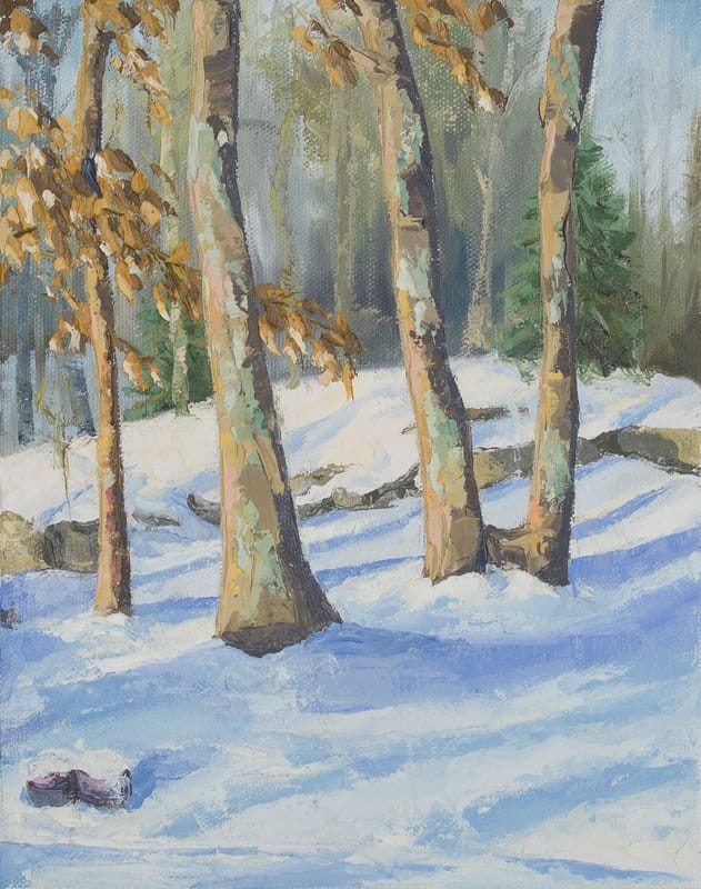 Snowy Red Oaks