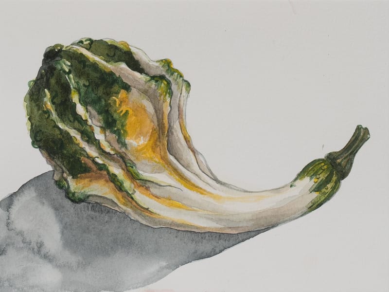 Study of a gourd