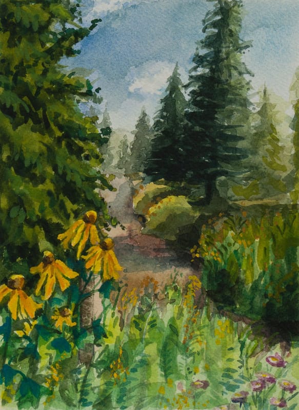 Castle Creek in the Afternoon