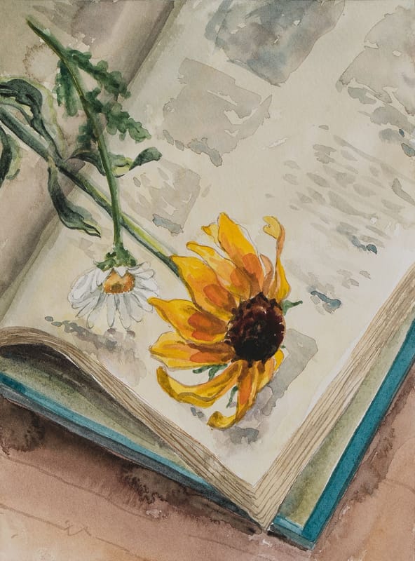 History of the Black Hills and a Black Eyed Susan