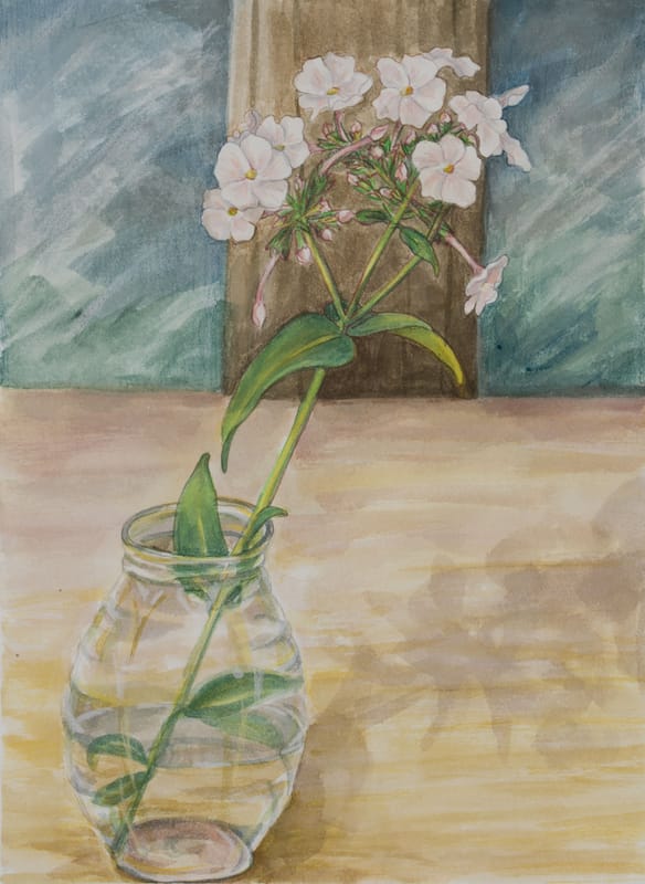 Garden Phlox in honey jar